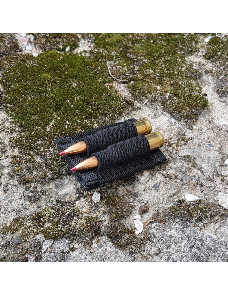 Fast Ammo 2 pin